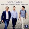 Download track Violin Sonata No. 1 In D Minor, Op. 75: II. Allegro Moderato
