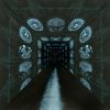 Download track Anthropomorphic Two-Headed Bird Show