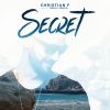 Download track Secret (Extended Mix)