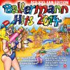 Download track Geh Mal Bier Hol'n Gmbh