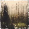 Download track A Different Path