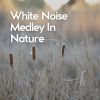 Download track Sunday Evening White Noise, Pt. 9