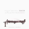 Download track Sonata In A Major BWV 1032: III. Allegro