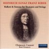 Download track 29. Sonata Tam Aris A 5 For 2 Trumpets 2 Violins Continuo No. 7 In G Major Sonatae Tam Aris No. 7 C. 120: Variatio - Allegro - Adagio - Allegro - Adagio
