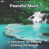 Download track Peaceful Music To Help Babies Sleep