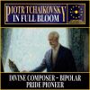 Download track The Nutcracker Suite, Op. 71a, TH 35 1. Miniature Overture. Allegro Giusto II