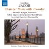 Download track Sonatina For Treble Recorder And Harpsichord - Adagio
