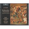 Download track 11 Choral-Wenn Soll Es Doch Geschehen