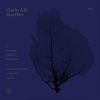Download track Deep Diver