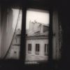Download track The Leaning Tree