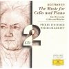 Download track 39 - Beethoven- Zwolf Variationen Uber 'Ein Madchen Oder Weibchen' Aus Mozarts 'Die Zauberflute' Op. 66 - 13. Variation XII. Allegro