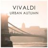 Download track Concerto For Strings And Continuo In B Minor, R. 168 1. Allegro