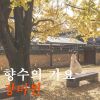 Download track A Water Bird