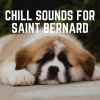 Download track Relaxed Poodle
