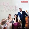 Download track 07. Piano Trio In A Minor, Op. 150 III. Allegro Con Brio