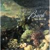 Download track Toccata And Fugue In D Minor, BWV 565