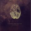 Download track The Upside