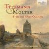 Download track Sonata VI In D Minor, TWV 43: 2: IV. Allegro
