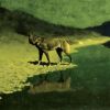 Download track Basque The Dog (Radio Edit)