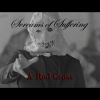 Download track A Red Cross