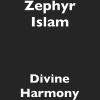 Download track Unity In Diversity Version 2