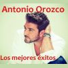 Download track Llegara