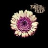 Download track I Won T Let You Go