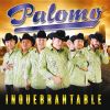 Download track Si No Me Amas