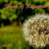 Download track 01