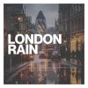 Download track The South Pole Bathed In Rain