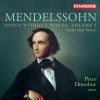 Download track 17 Variations Sérieuses In D Minor, Op. 54, MWV U 156