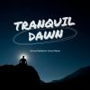 Download track Essence Of Stillness