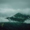 Download track The Wind (Forest Sounds)