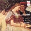 Download track 07. Piano Quartet Op. 47 - III. Andante Cantabile