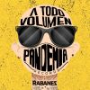 Download track Como Te Deseo