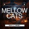 Download track Cool Covers Of Downtown Jazz