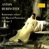 Download track Kamenniy-Ostrov, Op. 10: XIII. Moderato Assai'
