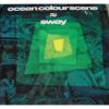 Download track Sway