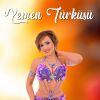 Download track Ağlama Sevdam