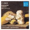 Download track 13. Aria Tenor: Die Welt Kann Ihre Lust Und Freud