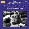 Download track 02 - 53 Studies On The Chopin Etudes - No. 3 In A Minor (1st Version After Chopin's Op. 10 No. 2, For The Left Hand Alone)