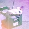 Download track Find Soothing Sleep