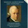 Download track Symphony No. 44 In D Major, K. 73l / 81: III. Allegro Molto