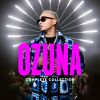 Download track Si No Te Quiere (Remix)