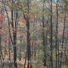 Download track Some Other Spring