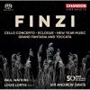 Download track 02. Cello Concerto In A Minor, Op. 40 II. Andante Quieto