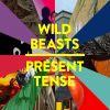 Download track Palace