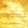 Download track The Rythym (Original Mix)