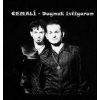 Download track Duymak İstiyorum - REMİX