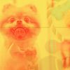 Download track Lively Backdrops For Relaxing Your Dog